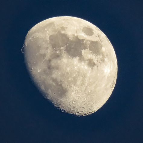 Third Quarter Moon by Sherri Rose Third Quarter Moon, Quarter Moon, Moon Images, Moon Photos, Pixel Camera, Email Marketing Newsletter, Social Media Advertising, Print Advertising, Marketing Website