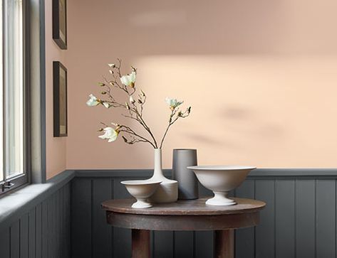 A light peach-painted room contrasted by dark gray wainscoting. Williamsburg Colors Benjamin Moore, Colonial Williamsburg Paint Colors, Benjamin Moore Williamsburg Collection, Benjamin Moore Pearl, Peach Living Rooms, Peach Paint Colors, Peach Bathroom, Peach Paint, Paint Collection