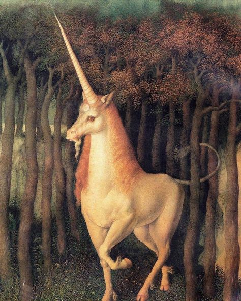 Unicorn Reference, Gennady Spirin, Real Unicorn, Unicorn Pictures, Unicorns And Mermaids, The Last Unicorn, Unicorn Art, Fairytale Art, Art Et Illustration