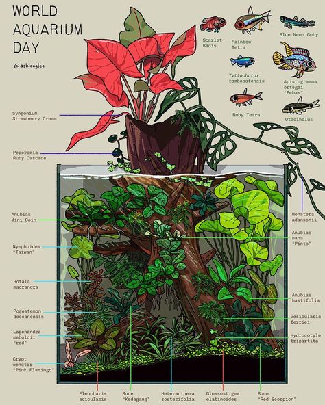 Aquarium Ideas Decoration, Shrimp Tank Aquascape, Jungle Aquascape, Betta Aquascape, Pet Axolotl, Cube Aquarium, Pond Drawing, Aquarium Aesthetic, Underwater Garden