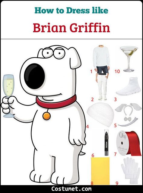 Brian Griffin (Family Guy) Costume for Cosplay & Halloween 2022 Regular Show Costumes, Family Guy Costumes, Guy Costumes, Brian Family Guy, Plain White Sweatshirt, Brian Griffin, Griffin Family, Stewie Griffin, White Beanie