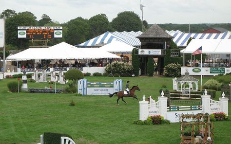 Show Jumper, Hamptons New York, Equestrian Facilities, Shelter Island, Horse Show, Summer Destinations, Perfect Itinerary, Island Getaway, Tourist Places