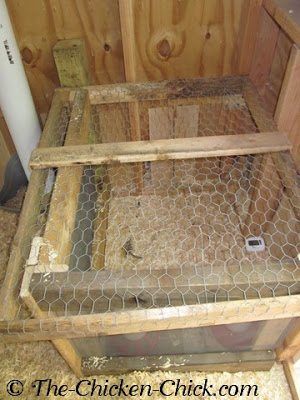 Broody Hen, Chicken Coop Kit, Portable Chicken Coop, Best Chicken Coop, Chicken Chick, Backyard Flocks, Coop Plans, Free Range Chickens, Keeping Chickens