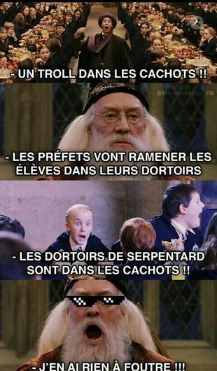 Harry Potter Funny Pictures, Harry Potter Sirius, French Meme, Harry Potter Voldemort, Harry Potter Tumblr, Harry Potter Hermione, Harry Potter Fanfiction, Funny Blogs, Harry Potter Film