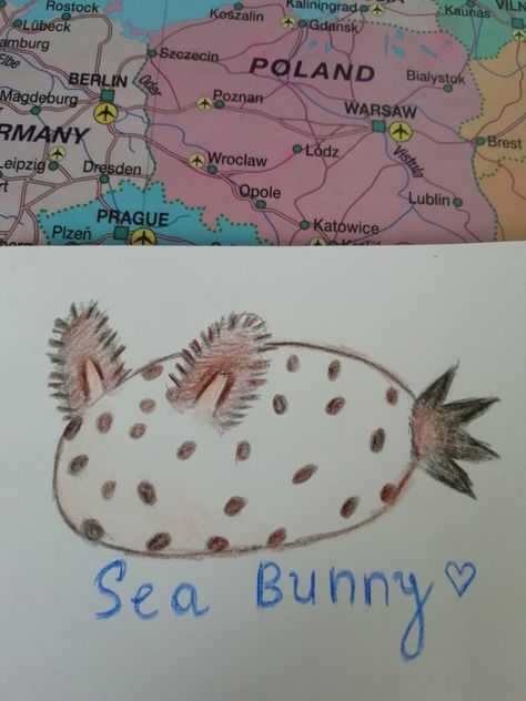 #seabunnies #seabunny #seaslug#animals #fyp Sea Bunnies Art, Sea Bunnies Drawing, Sea Bunny Drawing, Sea Bunnies, Biology Drawing, Sea Bunny, Bleach Shirt, Golden Nails, Notes Ideas