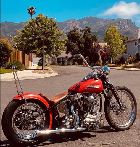 Panhead Bobber, Big Bear Choppers, Panhead Chopper, Concept Cars Vintage, Harley Panhead, Custom Motorcycles Bobber, Custom Street Bikes, Bobber Bikes, Harley Davidson Chopper