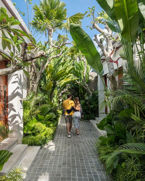 Let the tropical breeze guide your steps on our enchanting pathway 🌴 — Click link on our bio for discover more! — 𝘼𝙨𝙫𝙖𝙧𝙖 𝙑𝙞𝙡𝙡𝙖 𝙐𝙗𝙪𝙙 𝘓𝘶𝘹𝘶𝘳𝘺 𝘏𝘰𝘯𝘦𝘺𝘮𝘰𝘰𝘯 𝘝𝘪𝘣𝘦 𝘪𝘯 𝘜𝘣𝘶𝘥 𝘑𝘢𝘭𝘢𝘯 𝘉𝘢𝘯𝘨𝘬𝘪𝘢𝘯𝘨 𝘚𝘪𝘥𝘦𝘮 𝘕𝘰.8𝘹 𝘜𝘣𝘶𝘥 𝘉𝘢𝘭𝘪  #honeymoon #liburanbali #balivacation #baligasm #travelblogger #iniviehospitality #thinkbalithinkinivie #asvaravilla #LuxuryHoneymoonVibeinUbud Tropical Pathway, Bali Gardens, Bali Landscape, Bamboo Landscape, Bali Style Home, Bali Garden, Balinese Garden, Cahuita, Bali Honeymoon