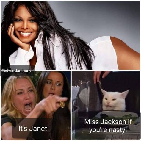 Lady Yelling At Cat, Off Color Humor, Miss Jackson, Janet Jackson, Music Memes, White Cat, Cat Memes, St Patricks, My Favorite Things