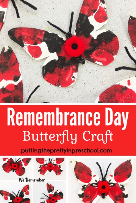 Remembrance Day Activity For Toddlers, Anzac Day Activities For Babies, Rememberance Day Activities Preschool, Rememberance Activities, Reggio Kindergarten, Pine Crafts, Remembrance Day Quotes, Poppy Craft For Kids, Butterfly Activities