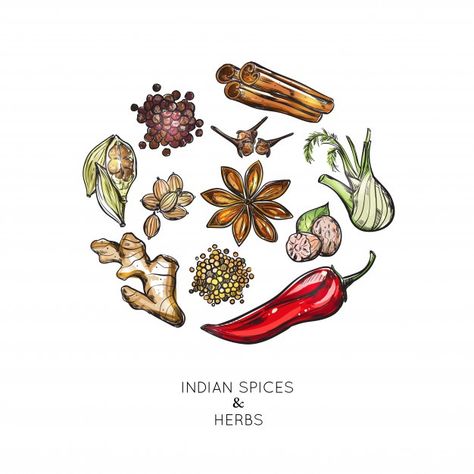 Indian spices herbs composition | Free Vector #Freepik #freevector #food #leaf #green #nature Spices Illustration, Indian Herbs, Indian Drinks, Saffron Flower, Recipe Book Templates, Indian Illustration, Food Sketch, Leaves Illustration, Girly Wall Art