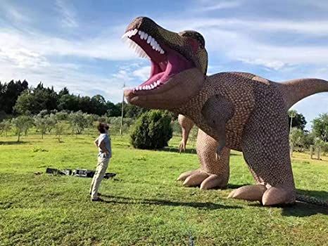 Amazon.com: Sayok 16.4ft Tall Inflatable Dinosaur Inflatable Tyrannosaurus Rex for Halloween Exhibition Party Decoration : Patio, Lawn & Garden Halloween Lawn Decorations, Yoda Halloween, Inflatable Dinosaur, Dragon Halloween, Event Advertising, Halloween Figures, Outdoor Inflatables, Halloween Inflatables, Sand Bag