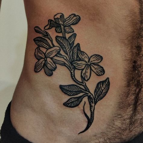 ✥ 𝕬𝕷𝕴𝖃𝕰 𝕮𝕺𝕺𝕻𝕰𝕽 ✥ on Instagram: "Some Jasmin flowers for Sam✨ ••• @blackcircle_montreal ••• #paris #montreal #occulttattoo #blackwork #lineworktattoo #linework #etching #etchingtattoo #woodcut #woodcuttattoo #engraving #engravingtattoo #engravingstyle #engravingwork #botanicaltattoo #jasmintattoo" Jasmine Tattoo, Lower Leg Tattoos, Etching Tattoo, Woodcut Tattoo, Traditional Tattoo Flowers, Medieval Tattoo, Engraving Tattoo, Traditional Tattoo Designs, Occult Tattoo