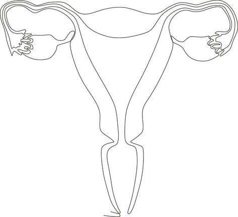 dibujo de arte de línea continua del útero reproductivo femenino Uterus Anatomy, Tree Drawings Pencil, Art Sketches Pencil, Human Eye, Zebra Stripes, Anatomy Drawing, Continuous Line, Drawing Human, Hello Friend