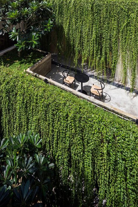 open courtyards with lush greenery complete MIA design studio's concrete house in vietnam Plant Building, Vertikal Garden, Green Facade, Planting Design, Big Garden, Concrete House, Rooftop Garden, Design Studios, Cafe Shop