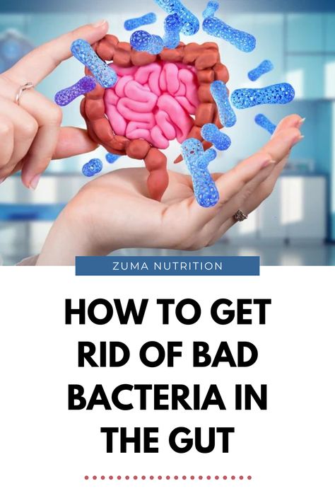 The gut microbiome is the complex ecosystem of microorganisms, including bacteria, fungi, and viruses, that reside in the digestive system. These microorganisms play an essential role in digestion, nutrient absorption, and immune system regulation. However, when there is a disruption in the balance of good and bad bacteria, it can lead to a range of health problems. Clean Grocery List, Clean Gut, Diy Natural Detergent, Gut Health Recipes, Healthy Microbiome, Digestive Issues, Healthy Diet Tips, Gut Bacteria, Daily Health Tips