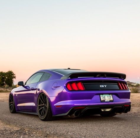 Purple Ford Mustang, Dark Purple Mustang, Mustang Wraps, Cute Car Mods, Losers Aesthetic, Mustang Purple, Mustangs Cars, Mustang Accessories, Purple Cars