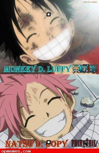 Natsu Meme The Familiar Of Zero, Fairytail Anime, Natsu Fairy Tail, Same Energy, Fairy Tail Anime, One Piece Luffy, Anime Crossover, Monkey D Luffy, I Love Anime