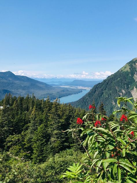 Juneau Aesthetic, Juneau Alaska Aesthetic, Alaska In June, Alaska Summer, Alaska Trip, Juneau Alaska, Alaskan Cruise, Final Destination, Dream Places