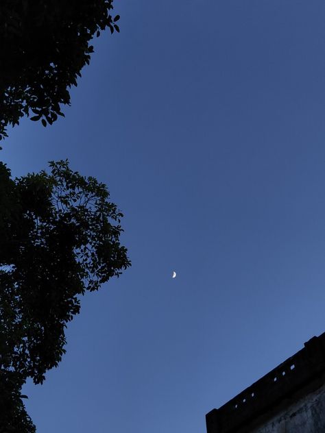 Moon, blue sky, evening Moon In Evening Sky, Half Moon Photo, Evening Moon Aesthetic, Half Moon Aesthetic, Ganesh Photo, Moon Photos, Sky Moon, Self Portrait Poses, Evening Sky