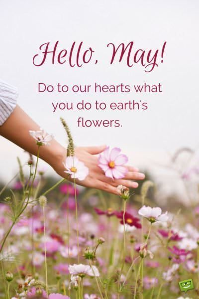 Hello, May! Do to our hearts what you do to earth's flowers. May Month Quotes, Hello May Quotes, Happy New Month Quotes, Neuer Monat, April Quotes, New Month Quotes, Welcome May, May Quotes, Flowers Quotes