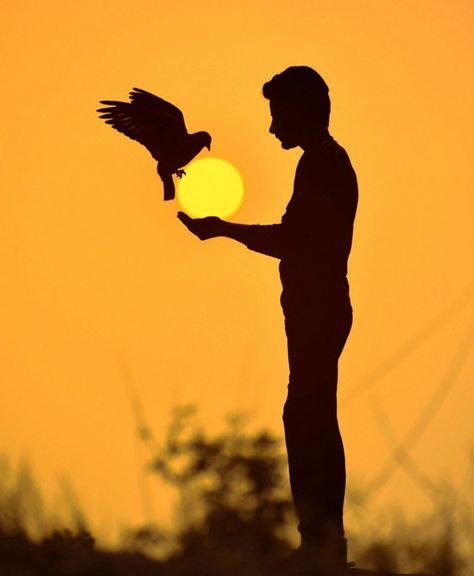 National Geographic Photo Contest, Silhouette People, Silhouette Photography, Sun Photo, Sunset Silhouette, Popular Photography, Silhouette Photos, Photo Art Gallery, Draw On Photos