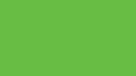 Hourbour Solid Color Background Plain Green Background, Green Gradient Background, Dc Fix, Ombre Wallpapers, Iphone 5 Wallpaper, Solid Color Backgrounds, Chroma Key, Simple Green, Saturated Color