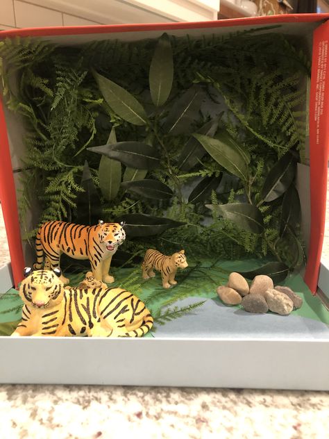 Easy tiger habitat diarama. Lots of greenery from the craft store and tiger figures. Bengal Tiger Habitat, Shoebox Diorama, Biomes Project, Tiger Habitat, Project Tiger, Diorama Kids, Ecosystems Projects, Habitats Projects, Elf Ideas Easy