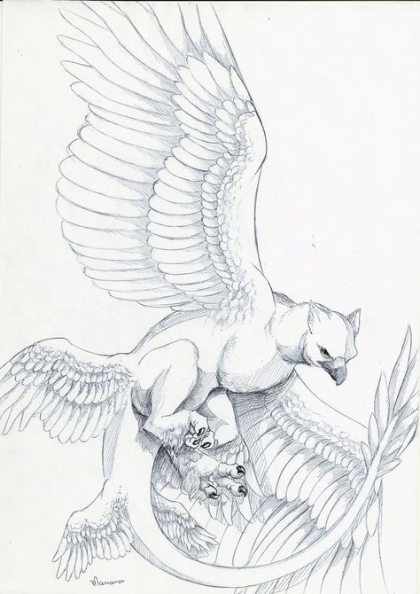 Frank The Thunderbird by Mariana [©2016] Thunderbird Sketch, Thunderbird Drawing, Fantastic Beasts Drawing, Fantastic Beasts Tattoo, Fantastic Beasts Thunderbird, Griffin Artwork, Thunderbird Art, Griffin Drawing, Griffin Art