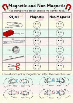 Magnets Language: English Grade/level: first grade School subject: Science Main content: Magnetism Other contents: Materials Worksheet, Diana Sanchez, Magnetic Objects, Magnets Science, Earth's Magnetic Field, Online Activities, Magnetism, School Subjects, Grade School