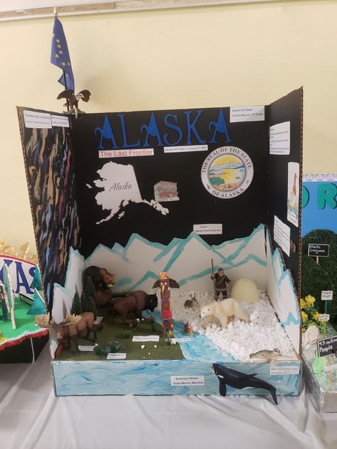 Alaska State Float, project for 5th graders. State Projects For Kids 5th Grades, Alaska Diorama, State Research Project, State Float School Project, State Float Project, Polar Habitat, State Project, Educational Websites For Kids, Alaska The Last Frontier