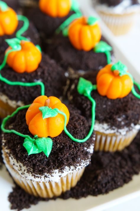 spiced pumpkin cupcakes, topped with buttercream, crushed cookies, and the cutest marzipan pumpkins | bakeat350.net Jack O Lantern Cupcakes, Apple Crumb Cakes, Fall Cupcakes, Chocolate Sandwich, Chocolate Sandwich Cookies, Spiced Pumpkin, Pumpkin Cupcakes, Thanksgiving Desserts, Halloween Cupcakes