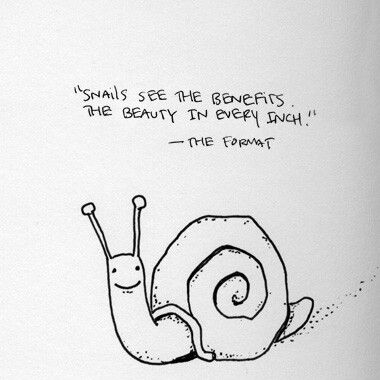 The Format - Snails Snail Quote Inspirational, Cute Snail Doodle, Snail Doodle, Angel Sayings, Kyle Smith, Snail Tattoo, Art Thoughts, Card Writing, Artsy Ideas