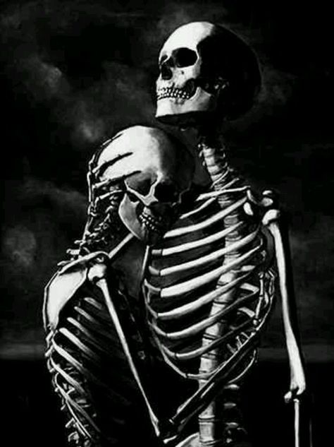 Skeletons Love A Skeleton, Skeleton, Black And White, White, Black, Art