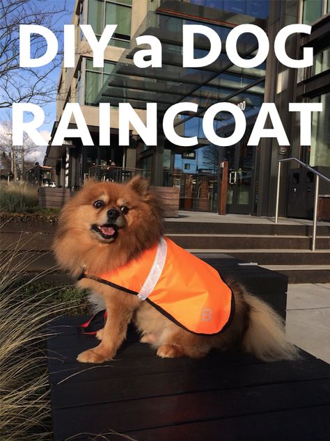 DIY a dog raincoat with reflective band and velcro closure Diy Dog Raincoat, Raincoat Diy, Dog Raincoat Pattern, Crochet Dog Clothes, Velvet Dog Collar, Personalized Leather Dog Collar, Red Dog Collar, Engraved Dog Collar, Dog Collar With Name