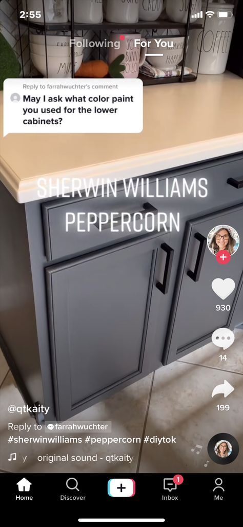 Peppercorn Sherwin Williams, Grey Painted Cabinets, Charcoal Kitchen, Painting Bathroom Cabinets, Charcoal Paint, Brown Kitchen Cabinets, Black Kitchen Island, Stock Cabinets, Staining Cabinets