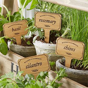 7 Unique (and Affordable!) Decor Pieces That Will Make Your Garden the Talk of the Neighborhood Edamame Dip, Personalized Flower Pot, Herb Garden Markers, Vegetable Garden Planner, Vegetable Garden Raised Beds, Types Of Herbs, Garden Planner, Marker Set, Garden Markers