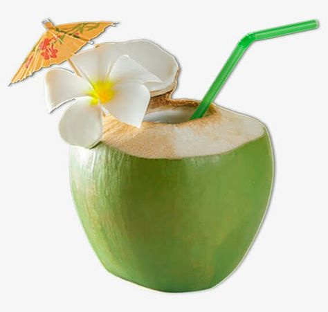 Coconut Reference, Coconut Images, Benefits Of Coconut Water, Image Analysis, Coconut Milk Drink, Coconut Water Benefits, Coconut Drink, Green Coconut, Benefits Of Coconut