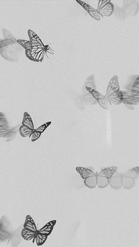 Boho Butterfly Wallpaper, Gray Photo, Grey Wallpaper Iphone, Penanda Buku, Wallpaper Boho, Boho Butterfly, Phone Wallpaper Boho, Butterfly Wallpaper Iphone, On Wallpaper