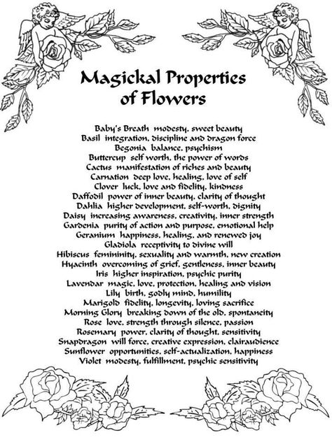 Witch Spells, Witchcraft Spells For Beginners, Magickal Herbs, Witch Herbs, Spells For Beginners, Black Magick, Spell Work, Magic Herbs, Magick Spells