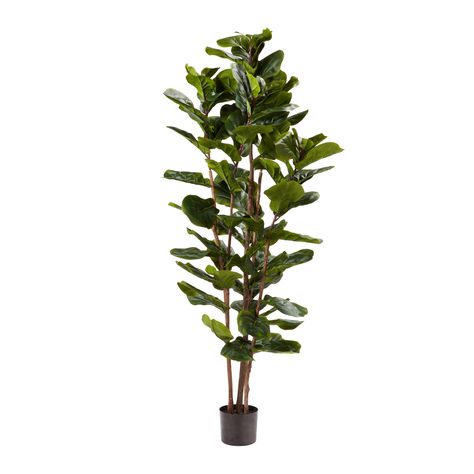 Pure Garden Artificial Fiddle Leaf Fig Tree - Faux Plant in Pot with Natural Feel Leaves-Realistic Indoor Potted Topiary - 72” - Walmart.com Fiddle Leaf Tree, Artificial Plants Decor, Artificial Plants Indoor, Fiddle Leaf Fig Tree, Floor Plants, Artificial Boxwood, Plants Decor, Faux Tree, Potted Trees