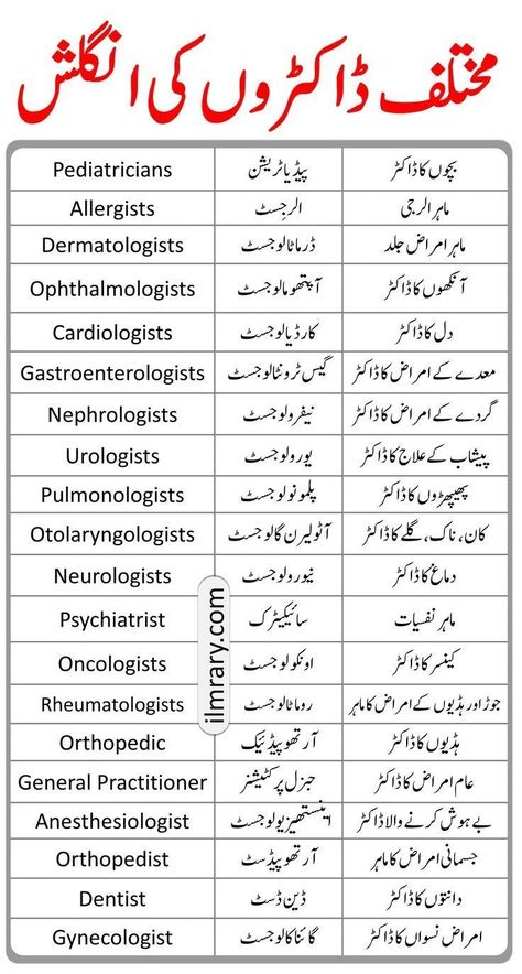 Learning English Speaking, Types Of Doctors, Medical Vocabulary, Simple English Sentences, Vocabulary In English, Basic English Sentences, English Phrases Sentences, Phrases And Sentences, Doctor Names