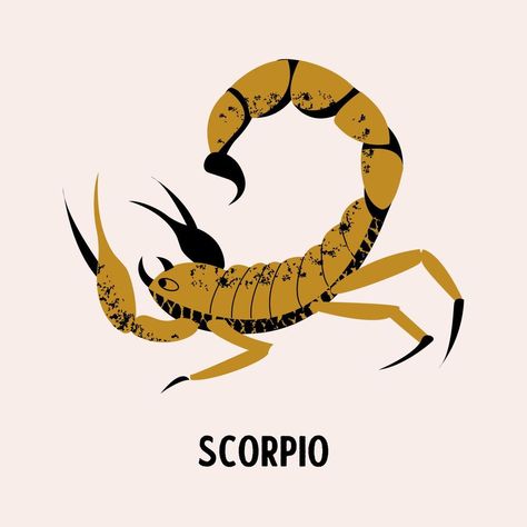 Sign of the zodiac Scorpio. Constellation of the Scorpion. Vector illustration. Scorpion Drawing Reference, Scorpio Character Design, Scorpion Art Illustration, Cartoon Scorpion, Symbolic Illustration, Scorpio Illustration, Scorpion Vector, Scorpion Illustration, Scorpion Drawing