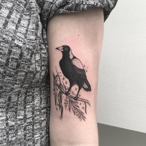 Australian magpie, wattle and eucalyptus for Carly 🌿 #magpie #eucalyptus #wattle #australianflora #magpietattoo #wattletattoo #eucalyptustattoo #blackwork #iblackwork #blackworknow #blackink #design #customtattoo #instaart #canberra #illustration #tattoo #tattooist #tattoodesign #tattooideas #australiantattooing Aboriginal Tattoo, Magpie Tattoo, Brisbane Tattoo, Australian Magpie, Simple Hand Tattoos, Magpie Art, Australian Tattoo, Blood Magic, Le Tattoo