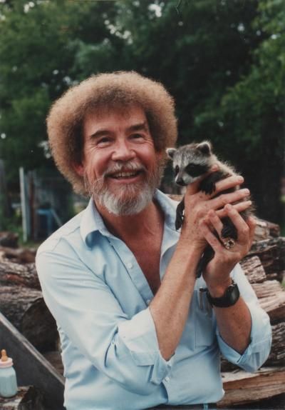 #bobrosspainting Bob Ross Paintings, The Joy Of Painting, Bob Ross, Racoon, Beautiful Person, Scenery Wallpaper, Cuteness Overload, Spirit Animal, Baby Animals