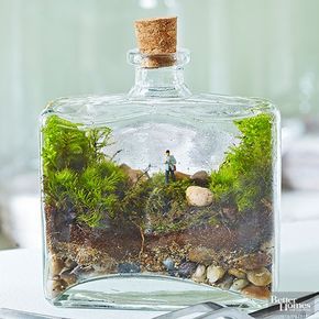 Terrario hadas Jardines: Take a Hike Terrariums Diy, Garden Fairies Figurines, Tattoo Plant, Garden Figurines, نباتات منزلية, Faeries Gardens, Moss Garden, Terrarium Diy, Garden Terrarium