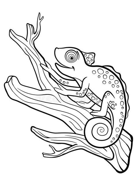 Chameleon Coloring Page, Colorful Chameleon, Minions Coloring Pages, Cute Lizard, Dragon Coloring Page, Easy Coloring Pages, Disney Coloring Pages, Flower Coloring Pages, Cute Coloring Pages