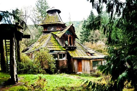 Sunray Kelley, Nature Houses, Riverfront Park, Houses Architecture, Cascades National Park, Tiny Home On Wheels, Romantic Cabin, Small Cottages, Living Roofs