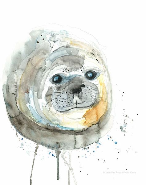 Seal Watercolour Print, Elephant Seal Pup Illustration, Wildlife Watercolour Painting, Sea Creature Animal Wall Art by WinterOwls on Etsy Painting Sea Creatures, Seal Artwork, Seal Watercolor, Seal Illustration, Sea Creatures Art, Elephant Seal, Seal Pup, Hot Pack, Watercolour Inspiration