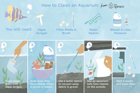 How to Clean a Dirty Fish Tank the Right Way Fish Tank Cleaning, Goldfish Tank, Aquarium Maintenance, Cleaning Fish, Easy Pets, Pet Enclosure, Pet Turtle, Betta Fish Tank, Fish Care