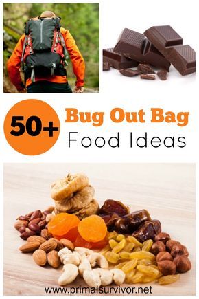 Bug Food, Survival Bag, Prepper Survival, Emergency Food, Bug Out Bag, Emergency Prepping, Survival Food, A Bug, Wilderness Survival